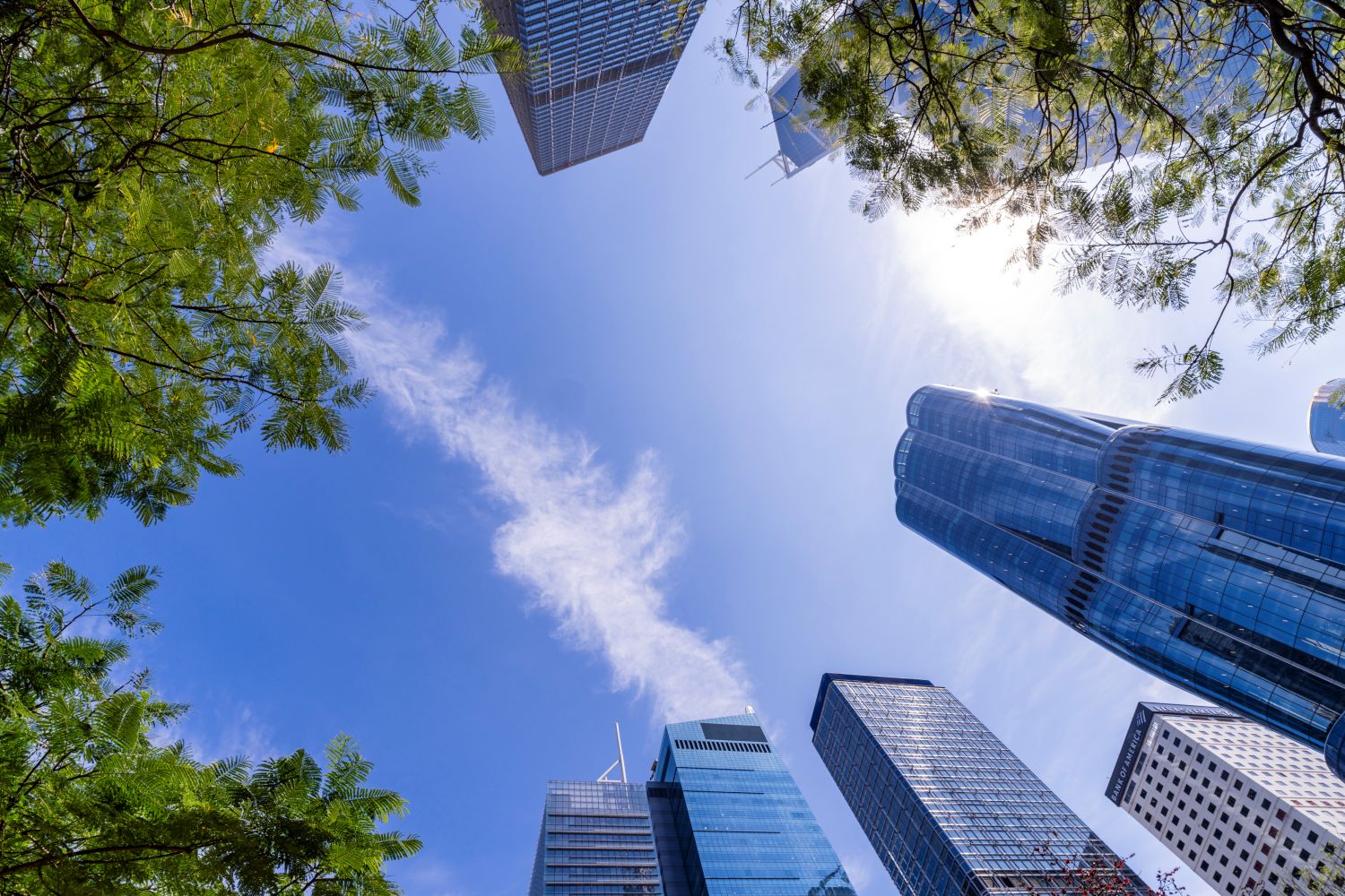 net zero emissions